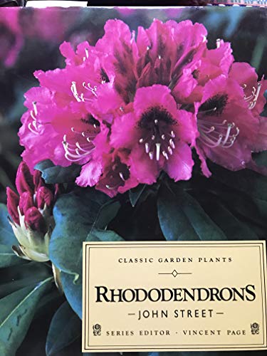 Stock image for Rhododendrons for sale by Calendula Horticultural Books