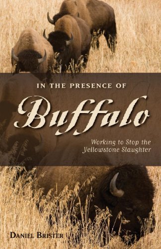 Beispielbild fr In the Presence of Buffalo : Working to Stop the Yellowstone Slaughter zum Verkauf von Better World Books