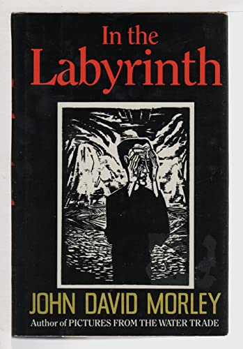 Beispielbild fr In the Labyrinth zum Verkauf von Wonder Book