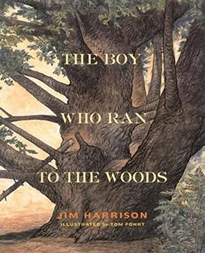 Stock image for The Boy Who Ran to the Woods for sale by Half Price Books Inc.
