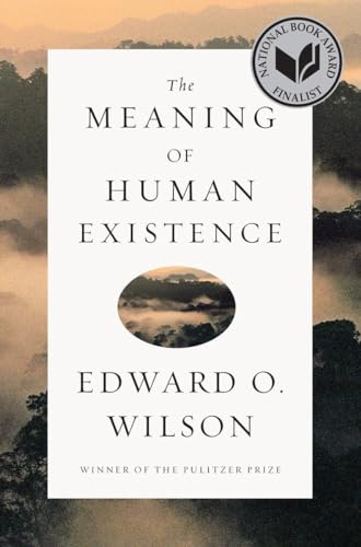 Stock image for Meaning of Human Existence for sale by Chaparral Books