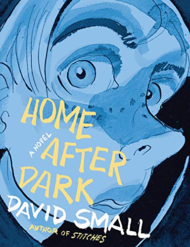 Beispielbild fr Home after Dark : A Novel zum Verkauf von Better World Books