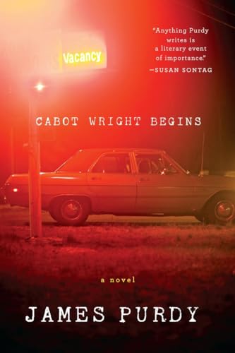 9780871403520: Cabot Wright Begins: A Novel