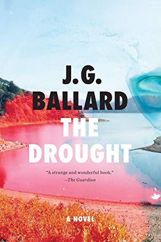 Imagen de archivo de The Drought: A Novel a la venta por ZBK Books