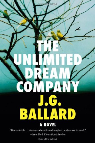 Stock image for The Unlimited Dream Company: A Novel for sale by Lakeside Books