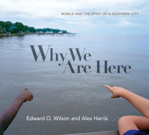 Imagen de archivo de Why We Are Here: Mobile and the Spirit of a Southern City a la venta por Orion Tech