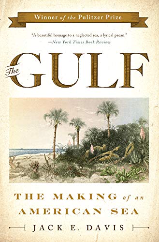 Stock image for The Gulf: The Making of An American Sea for sale by Upward Bound Books