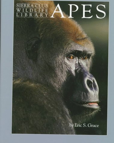 9780871563651: Apes (Sierra Club Wildlife Library)