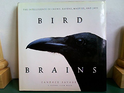 9780871563798: Bird Brains: The Intelligence of Crows, Ravens, Magpies, and Jays