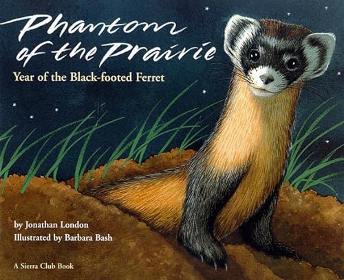 9780871563873: Phantom of the Prairie: Year of the Black-Footed Ferret