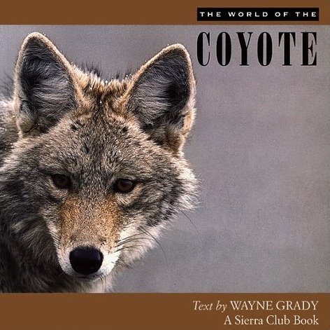 Imagen de archivo de The World of the Coyote a la venta por Better World Books