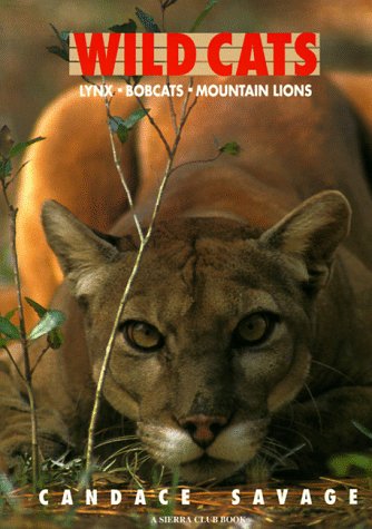 Stock image for Wild Cats: Lynx Bobcats Mountain Lions for sale by Wonder Book