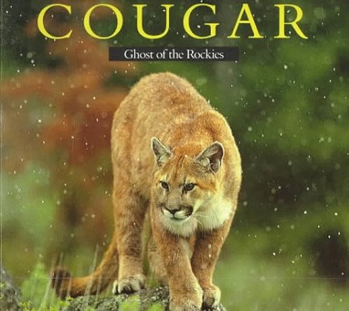 9780871564634: Cougar: Ghost of the Rockies