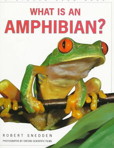 Stock image for What Is an Amphibian? for sale by Snow Crane Media