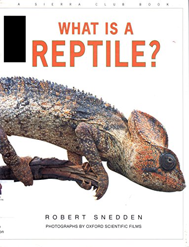 Imagen de archivo de What Is a Reptile? a la venta por SecondSale