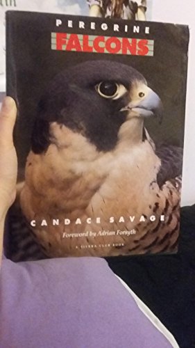 Imagen de archivo de Peregrine Falcons a la venta por Better World Books: West
