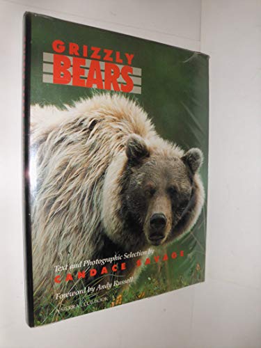 Beispielbild fr Grizzly Bears zum Verkauf von Ergodebooks