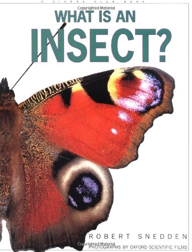 Imagen de archivo de What is an Insect? a la venta por Wonder Book