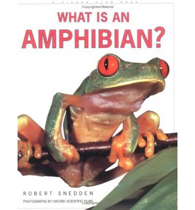 Imagen de archivo de What is an Amphibian? a la venta por More Than Words