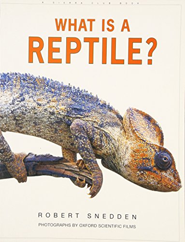 Stock image for What Is a Reptile? for sale by Better World Books: West