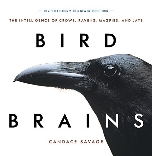 9780871569561: Bird Brains: The Intelligence of Crows, Ravens, Magpies, and Jays