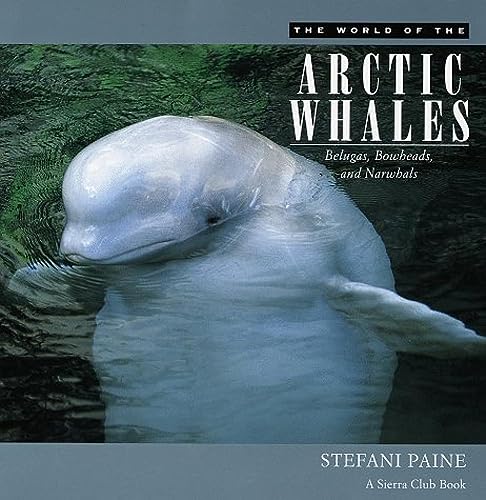 Stock image for The World of the Arctic Whales : Belugas, Bowheads and Narwhals for sale by Better World Books: West