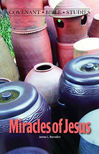 Imagen de archivo de Miracles of Jesus a la venta por Better World Books