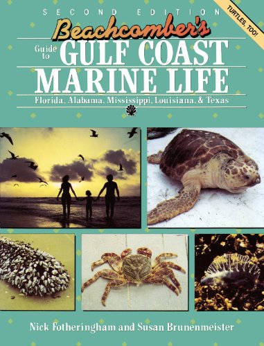 Stock image for Beachcomber's Guide to Gulf Coast Marine Life: Florida, Alabama, Mississippi, Louisiana, & Texas for sale by Wonder Book