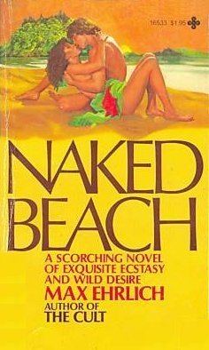 Beispielbild fr Naked Beach zum Verkauf von ThriftBooks-Dallas