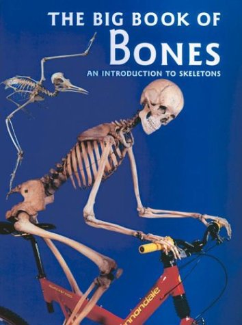 Beispielbild fr The Big Book of Bones : An Introduction to Skeletons zum Verkauf von Better World Books