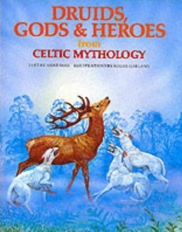 Beispielbild fr Druids, Gods & Heroes from Celtic Mythology (World Mythology Series) zum Verkauf von HPB-Movies