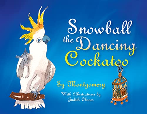 Snowball - The Dancing Cockatoo
