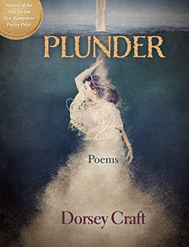 Beispielbild fr Plunder : Poems zum Verkauf von Better World Books