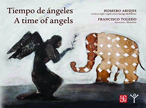 Time of Angels (9780872865648) by Aridjis, Homero