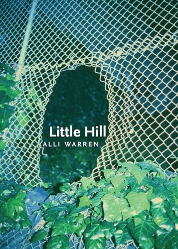 Beispielbild fr Little Hill zum Verkauf von Better World Books: West