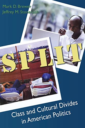 9780872892989: Split: Class and Cultural Divides in American Politics