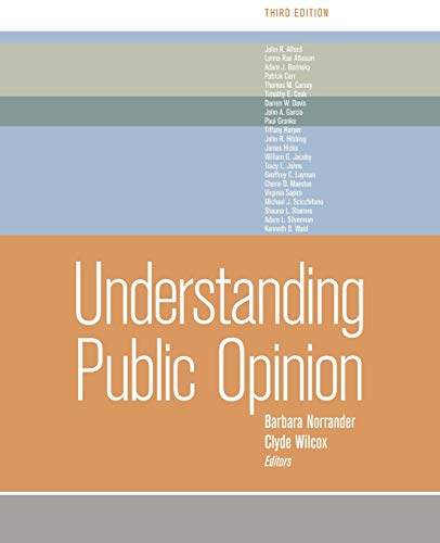 Stock image for Understanding Public Opinion for sale by Wonder Book