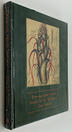 Stock image for DRAWING UPON NATURE: Studies for the Blaschkas' Glass Models for sale by Books of the Smoky Mountains