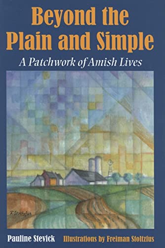 Imagen de archivo de Beyond the Plain and Simple : A Patchwork of Amish Lives a la venta por Better World Books
