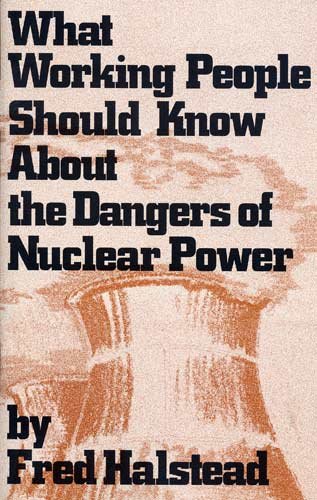 9780873484299: What Working People Should Know About the Dangers of Nuclear Power
