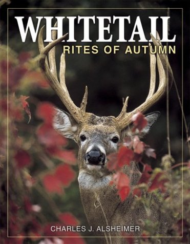 Stock image for Whitetail Rites of Autumn for sale by Half Price Books Inc.
