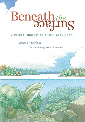 Imagen de archivo de Beneath The Surface: A Natural History of a Fisherman's Lake a la venta por HPB-Emerald