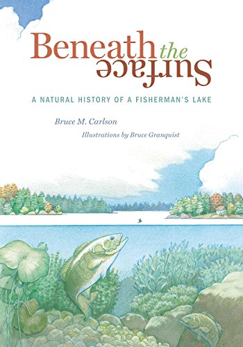 9780873515788: Beneath the Surface: A Natural History of a Fisherman's Lake