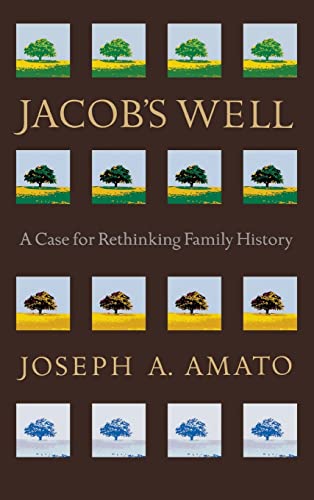 Beispielbild fr Jacob's Well : A Case for Rethinking Family History zum Verkauf von Better World Books