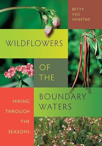 Wildflowers of the Boundary Waters: Hiking Through the Seasons