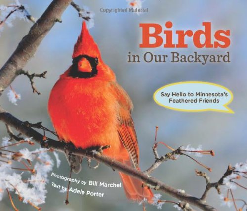 Imagen de archivo de Birds in Our Backyard: Say Hello to Minnesotas Feathered Friends a la venta por Goodwill of Colorado