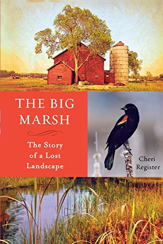 Stock image for The Big Marsh: The Story of a Lost Landscape for sale by SecondSale