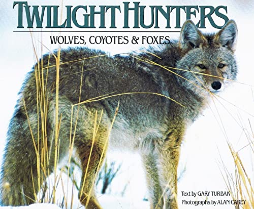 Imagen de archivo de Twilight Hunters: Wolves, Coyotes and Foxes a la venta por SecondSale