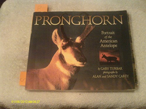 Stock image for Pronghorn: Portrait of the American Antelope for sale by James Lasseter, Jr