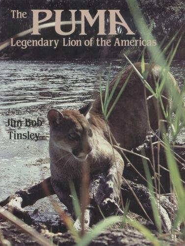 The Puma: Legendary Lion of the Americas
